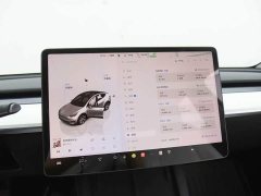 Tesla Model Y Rear-Wheel Drive - ფოტო 5