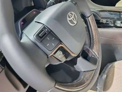 Toyota Alphard Hybrid 2.5L Premium Gold Edition - ფოტო 14