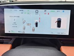 BYD Dolphin 650 Smart Navigation Edition - ფოტო 13