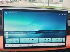 BYD Dolphin 650 Smart Navigation Edition - ფოტო 15
