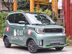 BMW Hongguang MINIEV GAMEBOY 200km Fun Edition LFP Battery - ფოტო 3