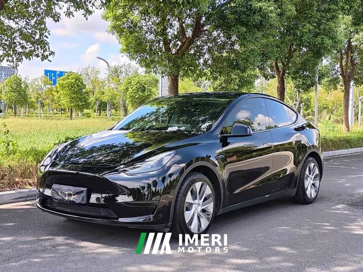 Tesla Model Y Rear-Wheel Drive