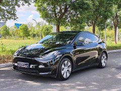 Tesla Model Y Rear-Wheel Drive - ფოტო 1