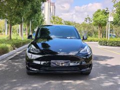 Tesla Model Y Rear-Wheel Drive - ფოტო 2