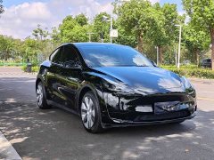 Tesla Model Y Rear-Wheel Drive - ფოტო 3