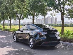 Tesla Model Y Rear-Wheel Drive - ფოტო 5