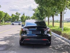 Tesla Model Y Rear-Wheel Drive - ფოტო 6