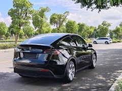 Tesla Model Y Rear-Wheel Drive - ფოტო 8