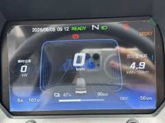 Chery QQ Ice Cream Youth Edition 205km Milkshake - ფოტო 13