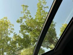 BYD T-ROC Tanyue 2021 Facelift 280TSI DSG 4WD Luxury Smart Connected Edition - ფოტო 13