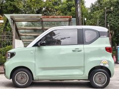 BMW Hongguang MINIEV Macaron Premium Edition LFP - ფოტო 5