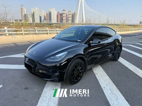 2021 Tesla Model Y Standard Range Edition - ავტომობილი ჩინეთიდან