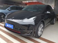 Tesla Model Y Long Range All-Wheel Drive - ფოტო 1