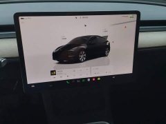 Tesla Model Y Long Range All-Wheel Drive - ფოტო 13