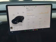 Tesla Model Y Long Range All-Wheel Drive - ფოტო 14