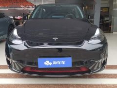 Tesla Model Y Long Range All-Wheel Drive - ფოტო 2