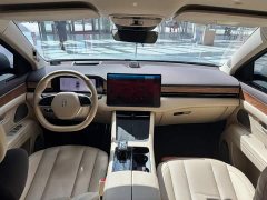 AITO Wenjie M7 2022 1.5T AWD Luxury - ფოტო 20