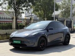 Tesla Model Y Long Range All-Wheel Drive - ფოტო 1