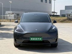 Tesla Model Y Long Range All-Wheel Drive - ფოტო 2