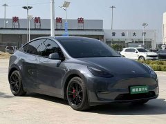 Tesla Model Y Long Range All-Wheel Drive - ფოტო 3