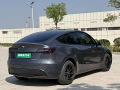 Tesla Model Y Long Range All-Wheel Drive - ფოტო 6