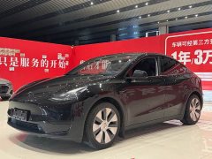 Tesla Model Y 2022 Rear-Wheel Drive - ფოტო 1