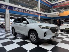 Haval M6 2021 PLUS 1.5T DCT Luxury Smart Connected Edition - ფოტო 3