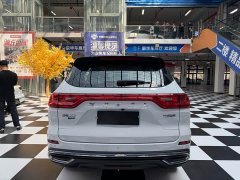Haval M6 2021 PLUS 1.5T DCT Luxury Smart Connected Edition - ფოტო 5