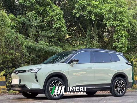 2024 Weltmeister WM Motor W6 2021 520km PRO All-Purpose Edition - ავტომობილი ჩინეთიდან