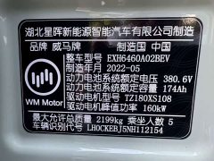 Weltmeister WM Motor W6 2021 520km PRO All-Purpose Edition - ფოტო 20