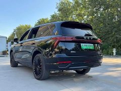 Great Wall WEY Blue Mountain 2026 Intelligent Advanced 4WD Ultra Black Warrior - ფოტო 13
