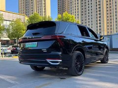 Great Wall WEY Blue Mountain 2026 Intelligent Advanced 4WD Ultra Black Warrior - ფოტო 15