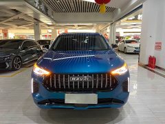 Haval Chitu 1.5T Excellence - ფოტო 2