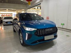 Haval Chitu 1.5T Excellence - ფოტო 3