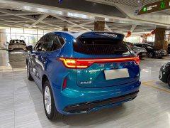 Haval Chitu 1.5T Excellence - ფოტო 6