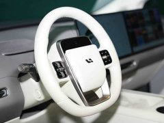 Li Auto i8 Standard Edition - ფოტო 11