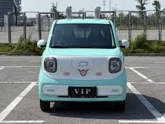 FAW Besturn Xiaoma 2026 222km Cute Horse - ფოტო 2