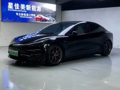 Tesla Model 3 Facelift Performance All-Wheel Drive 3D1 - ფოტო 1