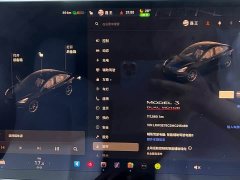 Tesla Model 3 Facelift Performance All-Wheel Drive 3D1 - ფოტო 8