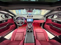 Porsche Cayenne 3.0T Platinum Edition - ფოტო 13