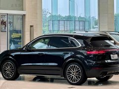 Porsche Cayenne 3.0T Platinum Edition - ფოტო 4