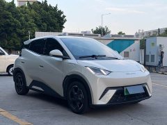 BYD Seagull Flying Edition - ფოტო 3