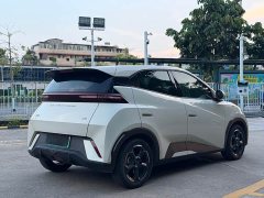 BYD Seagull Flying Edition - ფოტო 4