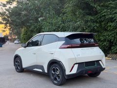 BYD Seagull Flying Edition - ფოტო 6