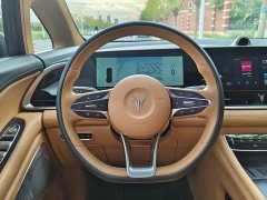 Voyah Dream PHEV Extended Range Luxury Edition - ფოტო 19