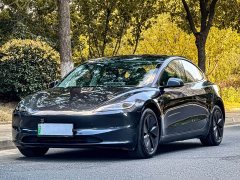Tesla Model 3 Rear-Wheel Drive - ფოტო 1