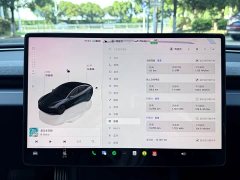 Tesla Model 3 Rear-Wheel Drive - ფოტო 13