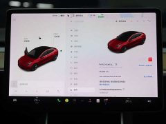 Tesla Model 3 2020 Facelift Standard Range RWD Upgrade - ფოტო 11