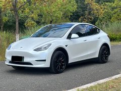 Tesla Model Y 2023 Rear-Wheel Drive - ფოტო 1