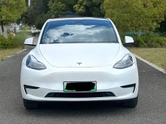 Tesla Model Y 2023 Rear-Wheel Drive - ფოტო 2